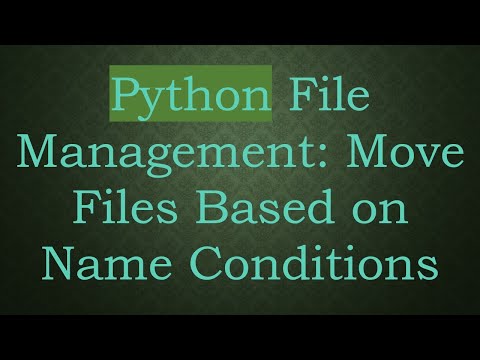 Python File Management:
