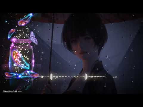 2021華語網絡流行音樂 ||《沒有我你會怎樣》|| 何深彰 || 動態歌詞