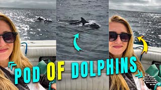 Pod of Dolphins That Appears Next to a Boat