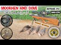 Moorhen And Dove Hunting With Artemis P10 2023|Best Long Rnage Hunting Video With|AirHunter PK