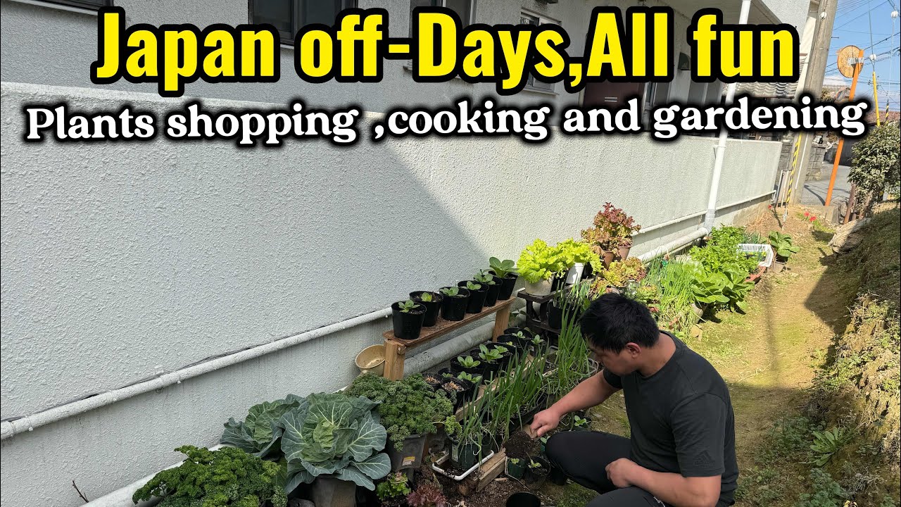 How I Spend My Day-off Days in Japan🇯🇵/ plants sopping, Gardening, harvesting & cooking 