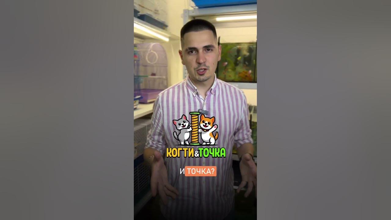 Что такое «Когти - и точка!»? - YouTube