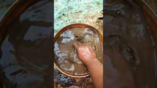 Anchored In His Heart