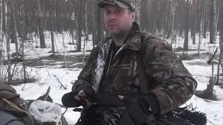 Охота на Глухаря Охота на Глухаря