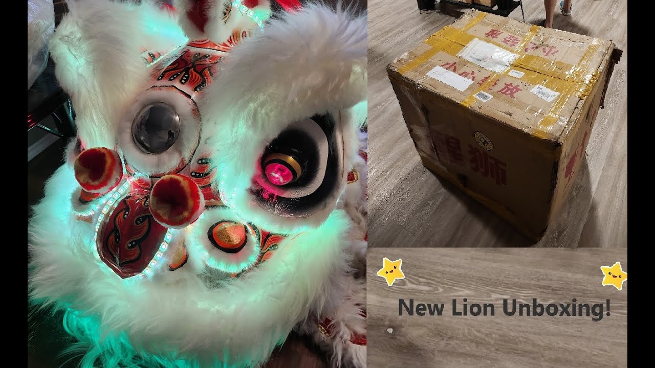 New Lion Unboxing - LEDs!