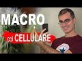 Foto Macro col Cellulare: come fare Foto BELLE anche senza Lenti Macro per Smartphone