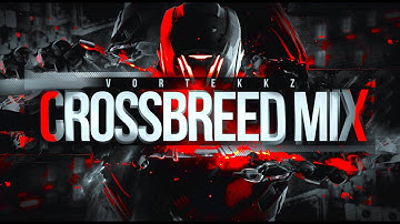 CROSSBREED MIX | Sinister Souls, Hallucinator, Lowroller, Current Value, Katharsys, Triamer & Nagato