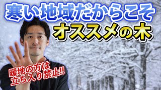 【会員制動画】暖地では楽しめない？寒冷地におすすめしたい素敵な木