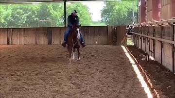 Pretti Smooth - 2018 mare by Smooth as a Cat