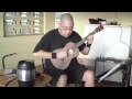 Bueno chen kahuna shuffle baritone ukulele original