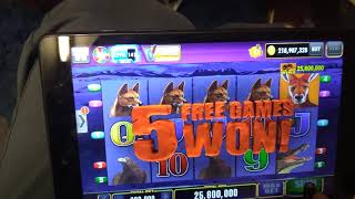 Lighting Link- Big Red Line of Dingoes 320,000k Bet...Free Spins...77million..