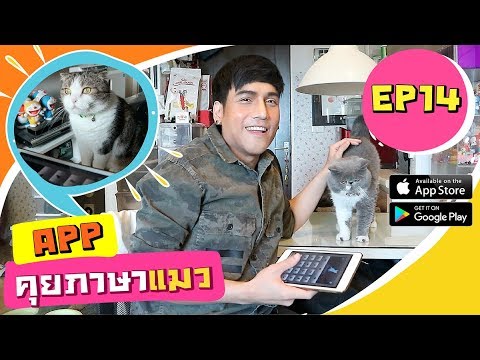 GATO NECK [ EP14 ]  แอพแปลภาษาแมว  คุยเล่นกับแมวได้!? APP CAT
