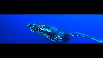 Wet ambient work 1 - Pedro Stolen