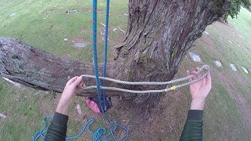 Basic Tree Climbing 01