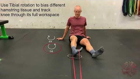 Band Resisted Slider Hamstring Curl (Seated)