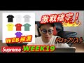 【supreme】WEEK19ついにきましたサマーT！モーションロゴ争奪戦確定＆ドロップリスト