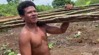 Pemuda Papua Sukses Tanam Cabai (Biak Numfor) by Veni Astri 708 views 1 year ago 10 minutes, 47 seconds