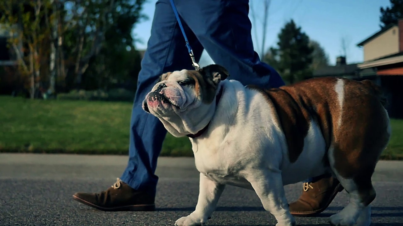 OFFICIAL MUSIC VIDEO Can't Come Back - Ali Rose