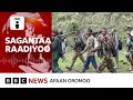 Haleellaa hidhattoonni Faannoo Angara Guutee