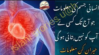 Insani Jism Ke Bare Mein Dilchasp Facts Human Body Urdu Hindi Most Viral Fact About Body2023 u@h