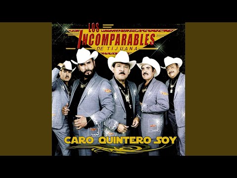 Vida Mafioso