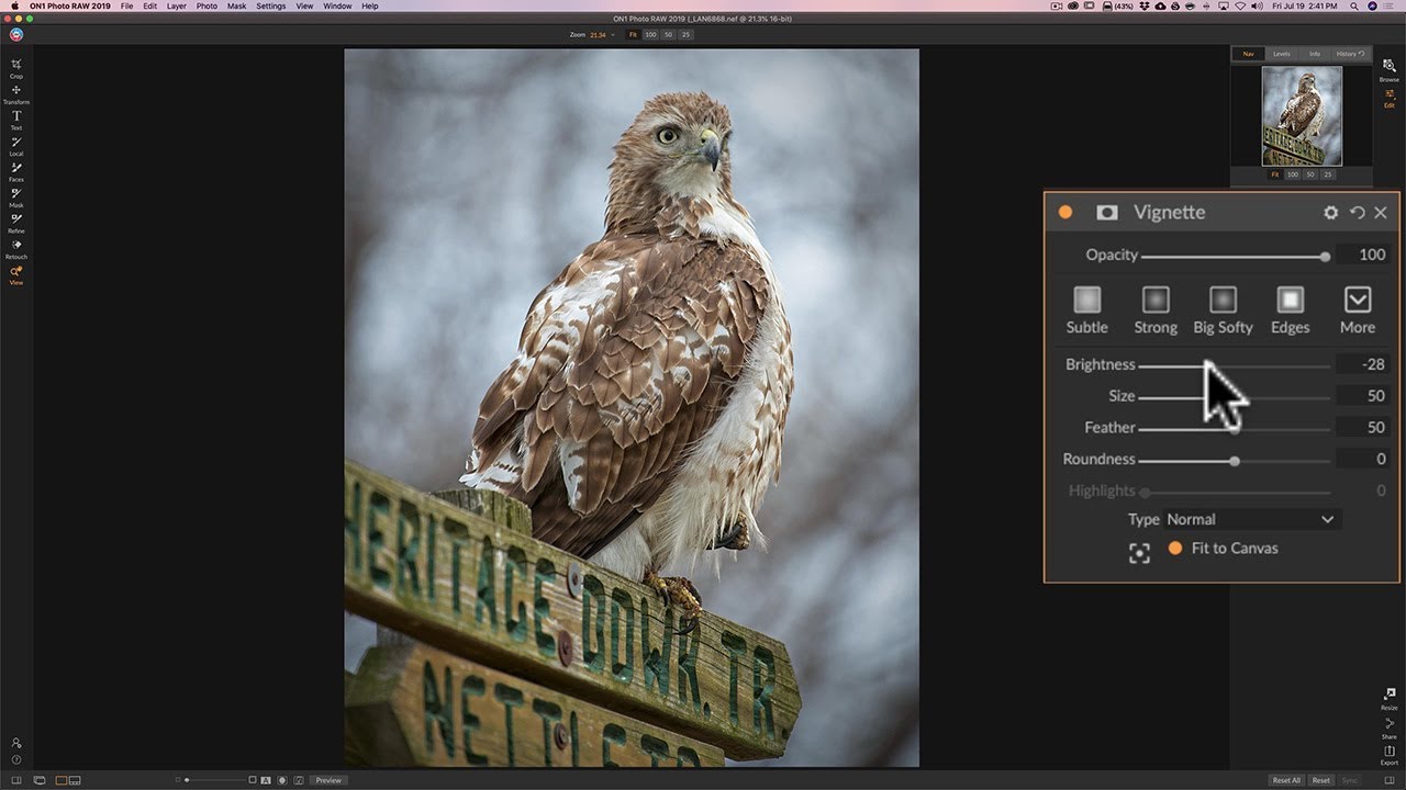 Processing a Wildlife Photo in On1 Photo RAW 2019 YouTube