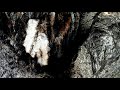 Dark images from eternity part 2  ambient music experimental music