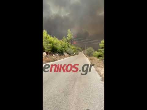 Φωτιά στα Βίλια - Μάχη πυροσβεστών