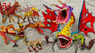 I Catch Zoochosis Boss Mixed All Animals In Real Life