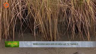 NHIỀU CHÍNH SÁCH MỚI CÓ HIỆU LỰC TỪ THÁNG 2 | VTV5