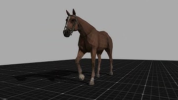 Horse Walk Cycle Animation | Realistic Horse Animation
