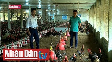 Tạo động lực để người dân tự vươn lên thoát nghèo