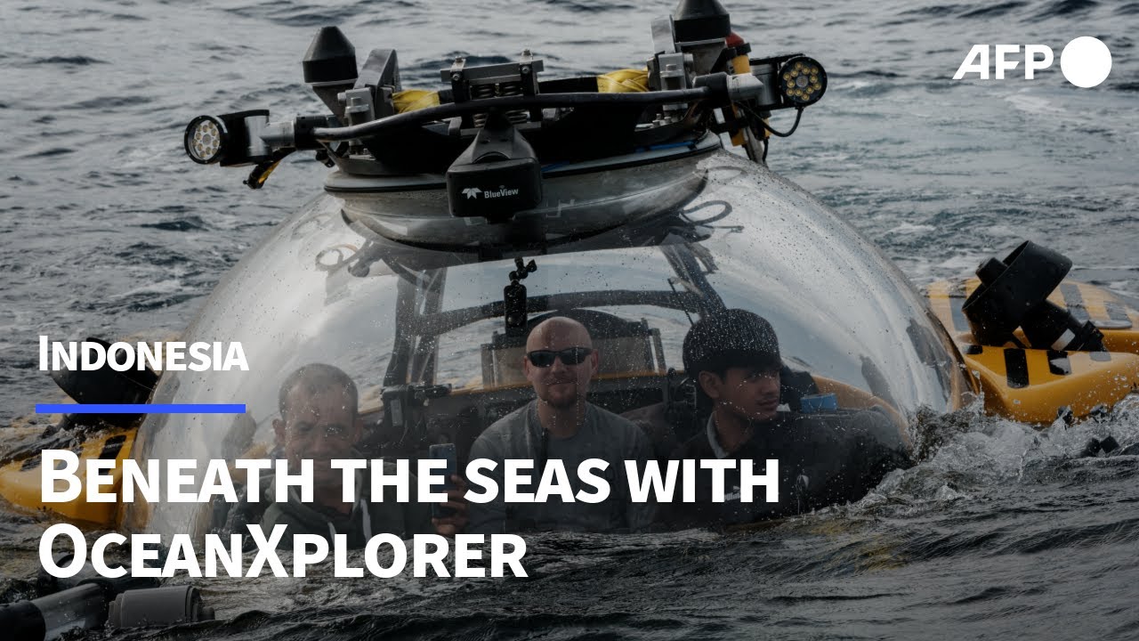 OceanXplorer: a 'one-stop shop' for marine research | AFP