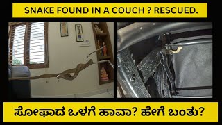 ಸೋಫಾ ಒಳಗೆ ಕಂಡ ನಾಗರಹಾವು! | Cobra found inside the sofa! ( SNAKE RESCUE #184 )