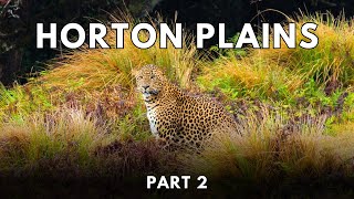 Horton Plains National Park | Part 2