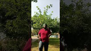 Beginners best exercise to lose weight fat naturally standing running/Walk #running #weightloss #yt 