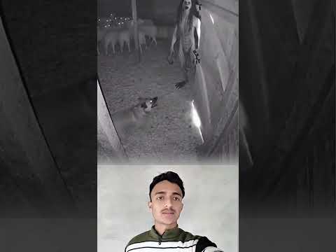 ليس ذكاء ولا حقيقة إن ه كذب م حكم ص نع ليبتلع عقول الغافلين غموض خيالي