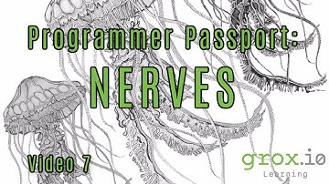 Programmer Passport: Elixir Nerves, Video 7 - Building an Adapter Layer
