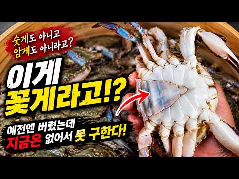 숫게도 암게도 아니다!? 예전엔 버렸는데 지금은 없어서 못 구하는 꽃게! thumbnail