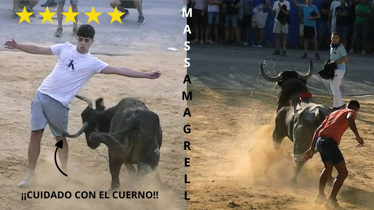 TOROS EN MASSAMAGRELL GENT DEL BARRI 3 TORACOS Y VACA CERRIL 09/08/2025