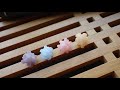 【ストップモーション】金平糖姉妹【VOICEROIDなんとか】