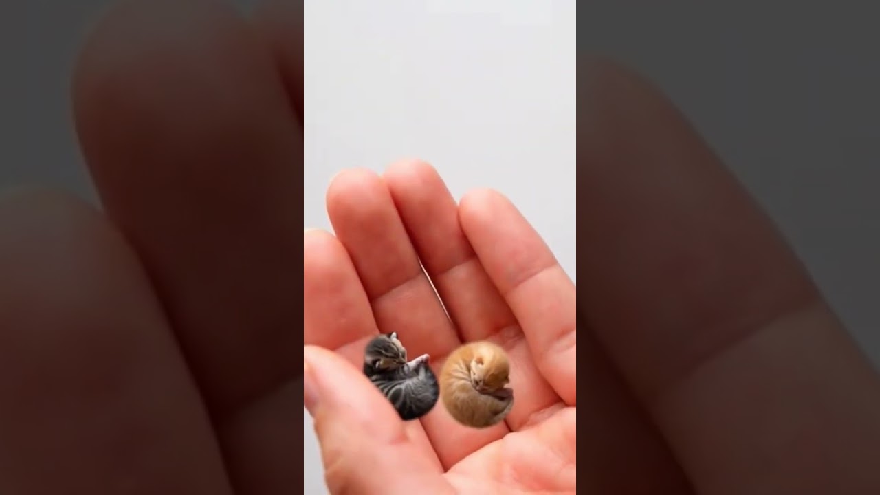 My Doctor Prescribed Me Two Of These Every Morning For Energy Boost 