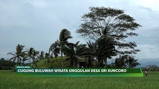 INOVASI DESA - Cugung Buluwah Bengkulu Tengah (2/3)