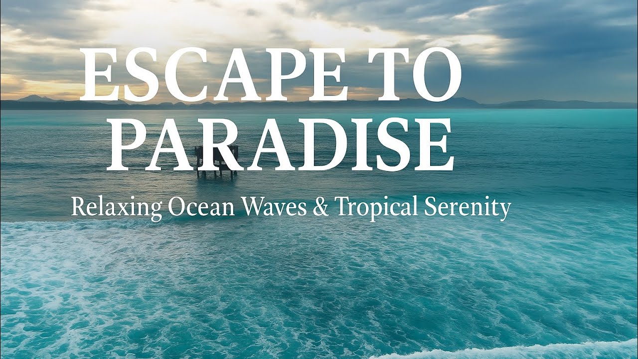 Seabird Sounds & Ocean Waves (3 Hours) — Relaxing Music with Gentle Gulls 