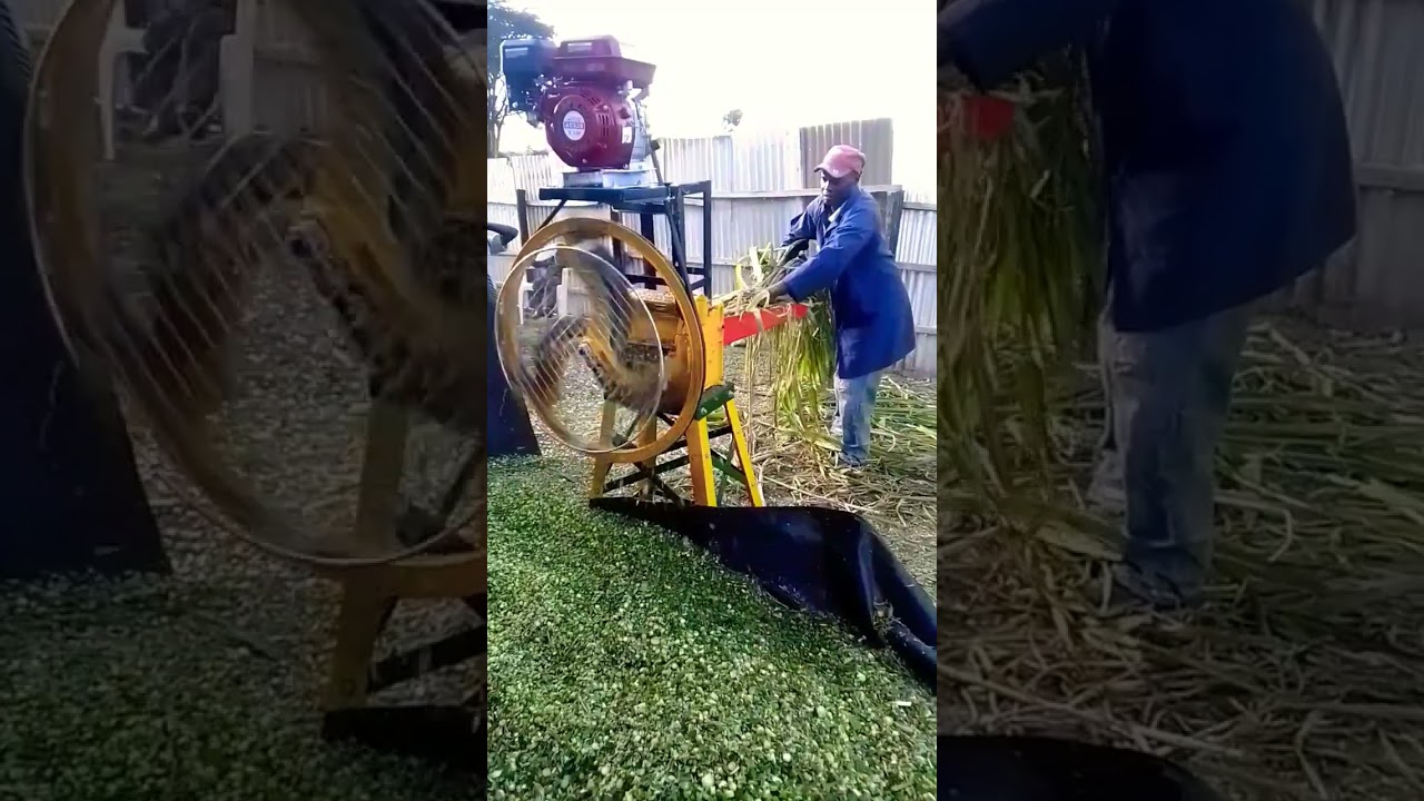 High Speed 3 Blade Chaff Cutter-for Chopping Grass