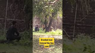 A dranked man Entered the lion Cave #lion #animals #viral #shortvideo #shorts