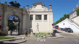 Celebrity Vienna - Irwin Vacation 2024 Net Worth