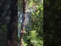 カラオケ以外で「延長」したの久々😆