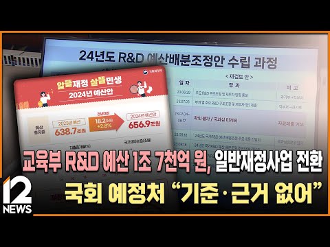 교육부 R&amp;amp;D 예산 1조 7천억 원, 일반재정사업 전환…국회 <strong>예정처</strong> &amp;quot;기준·근거 없어&amp;quot; / EBS뉴스 2023. 11. 01