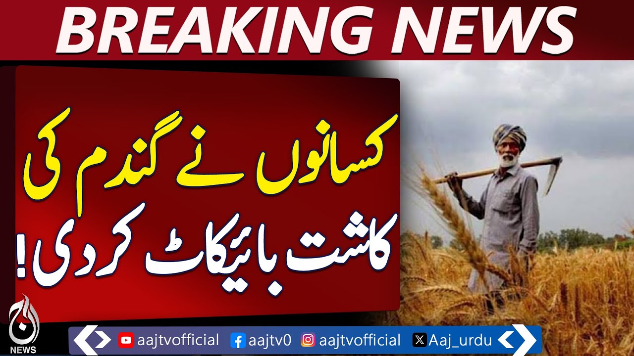 Wheat Cultivation Boycott Arifwala | Farmers Protest Low Prices ...